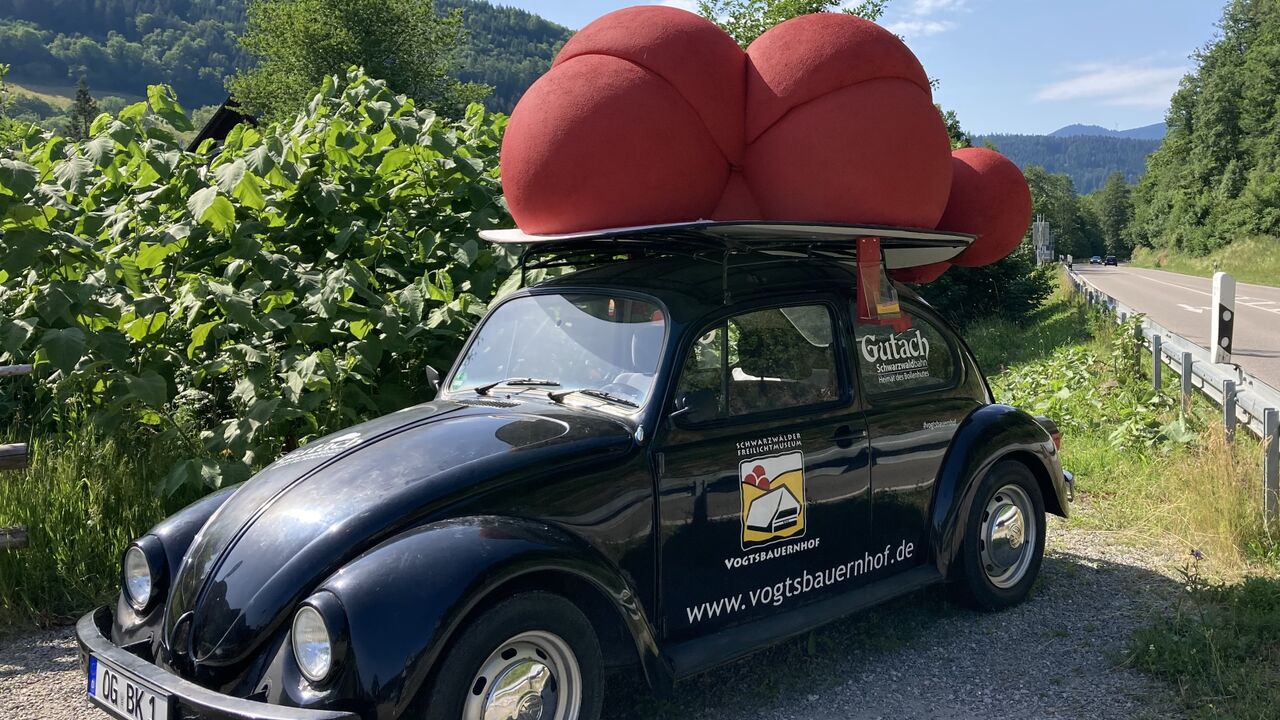 Der mittlere Schwarzwald: Eine ländliche Region zwischen Tradition und Moderne