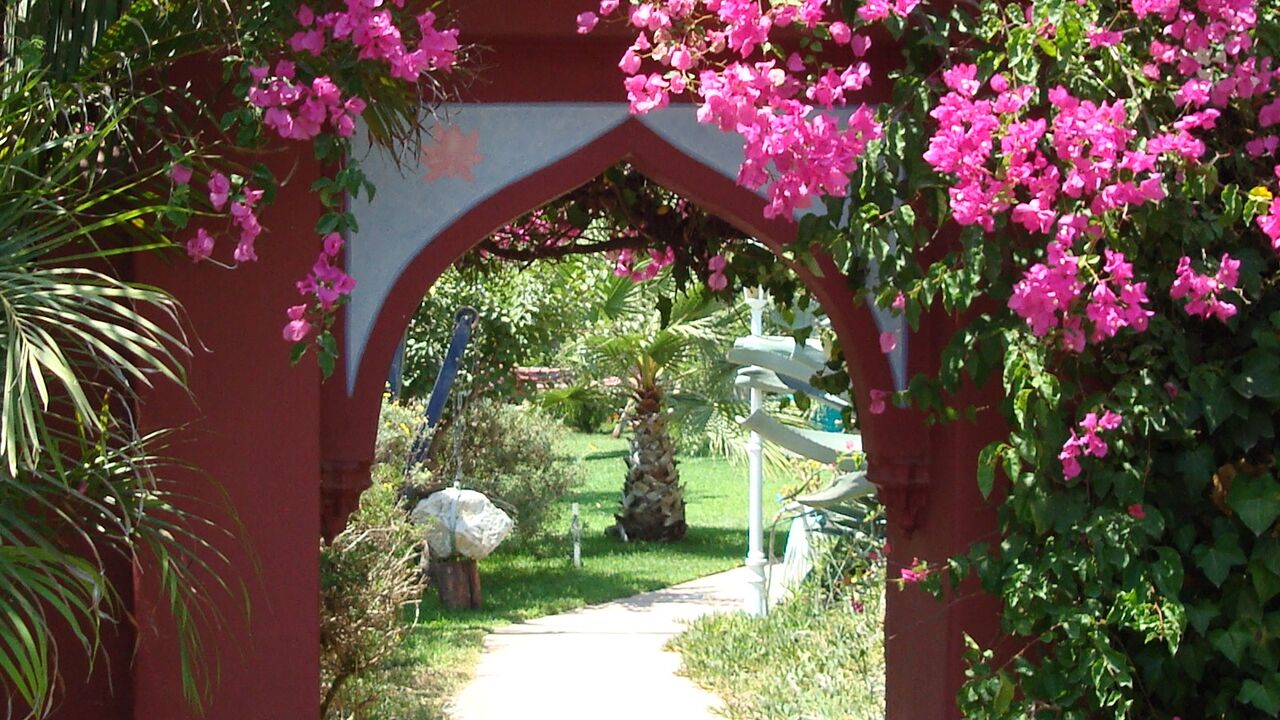 Resilienz - psychische Widerstandskraft und persönliche Belastbarkeit stärken