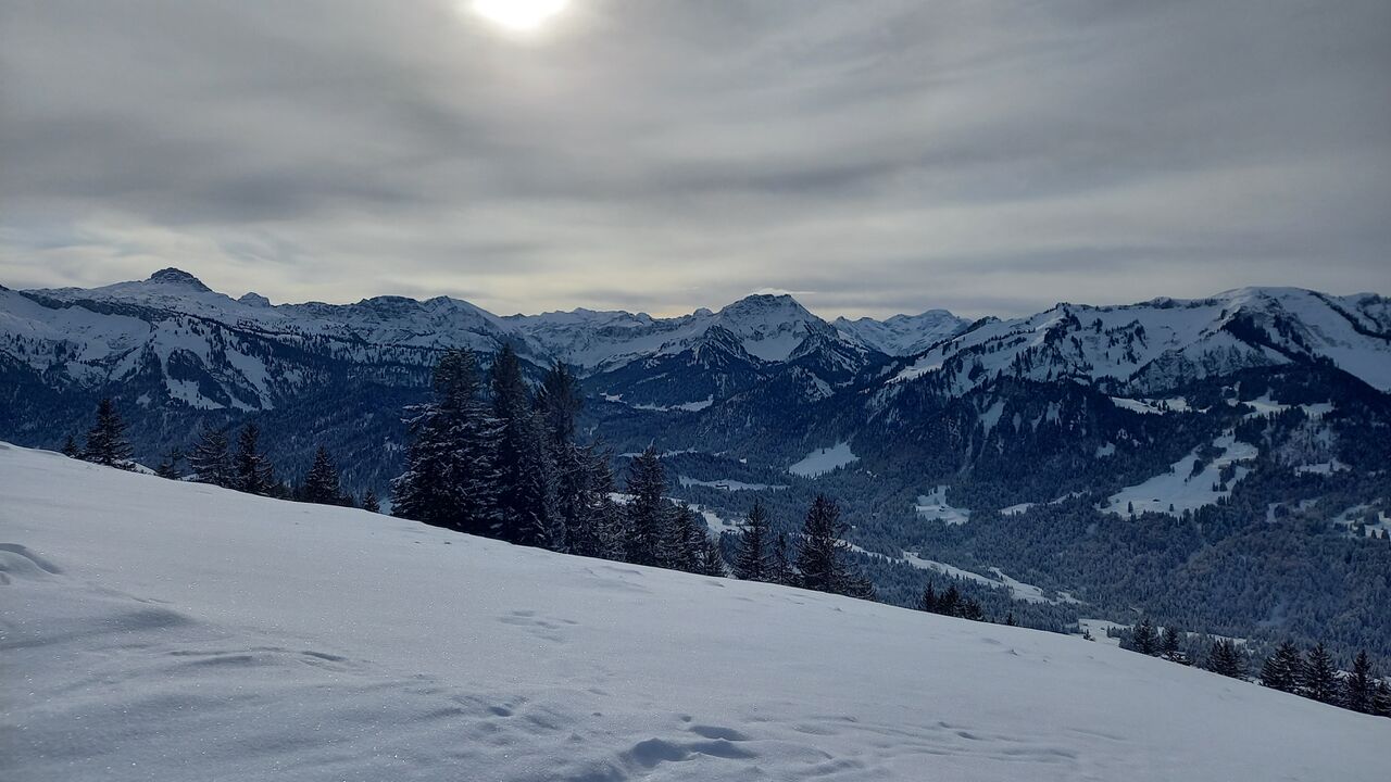 Modellregion Bregenzerwald – zukunftsfähiger Klima- und Naturschutz in Vorarlberg