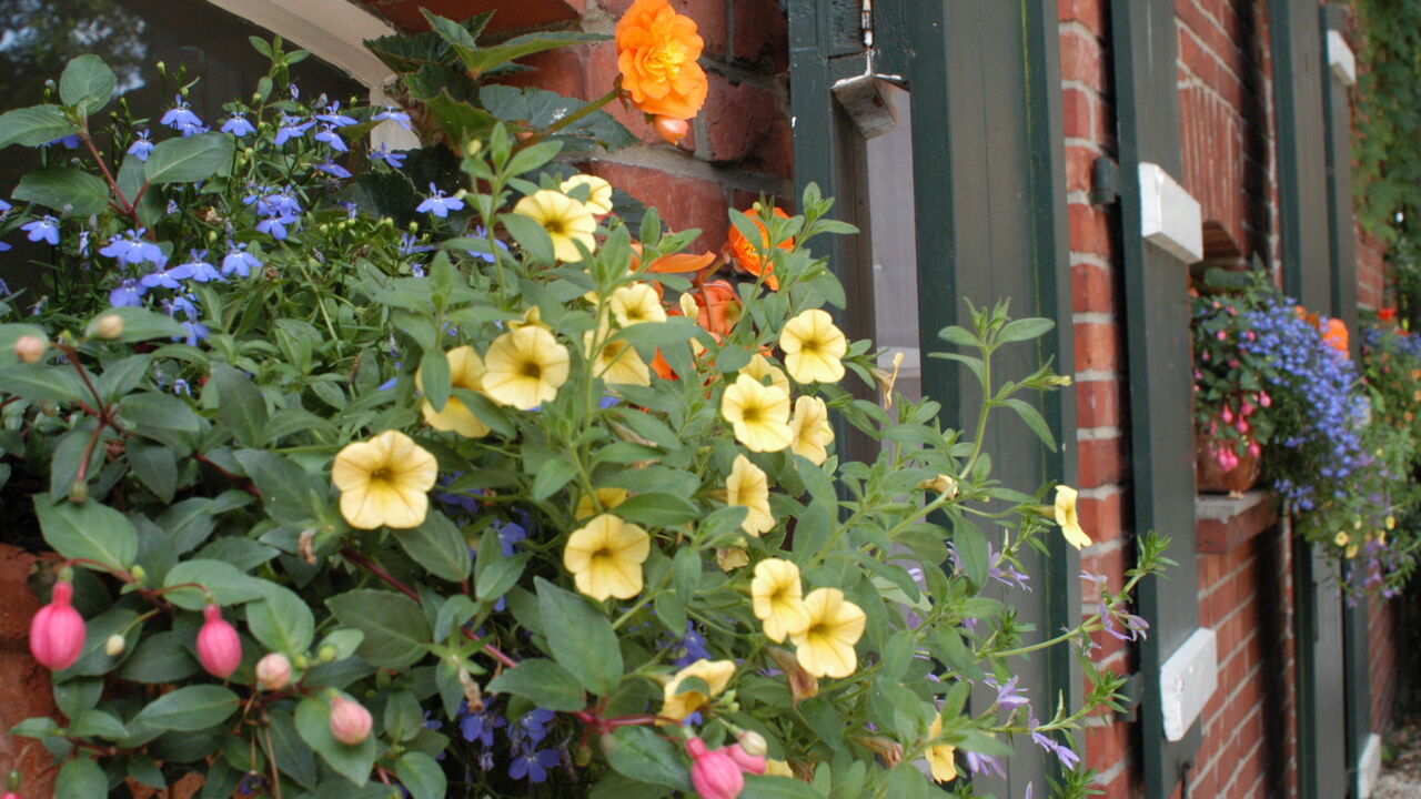 Mehr Ausgeglichenheit im Beruf durch Iyengar®-Yoga und Ayurveda