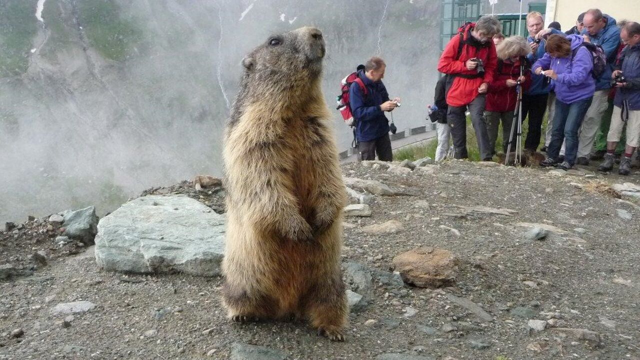 Nationalpark Hohe Tauern - Klimawandel, Tourismus und Artenschutz am Fuße des Pasterzegletschers