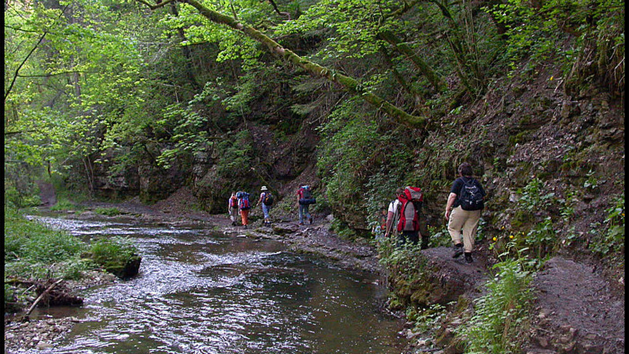 Weiterbildung Naturpädagogik: Naturerleben, Naturwissen, naturbezogene Methodik und Didaktik, Gruppenleitung