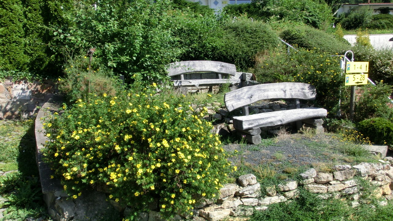 Gemeinsam schaffen wir es – Teamkultur erlebbar machen!