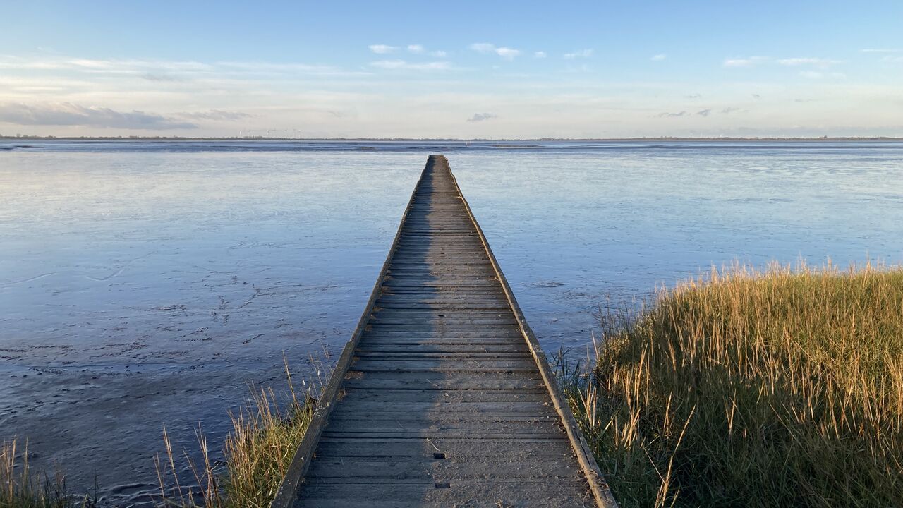 Mit dem Nervensystem auf Augenhöhe - Selbstführung und Stressregulation mit der Polyvagaltheorie