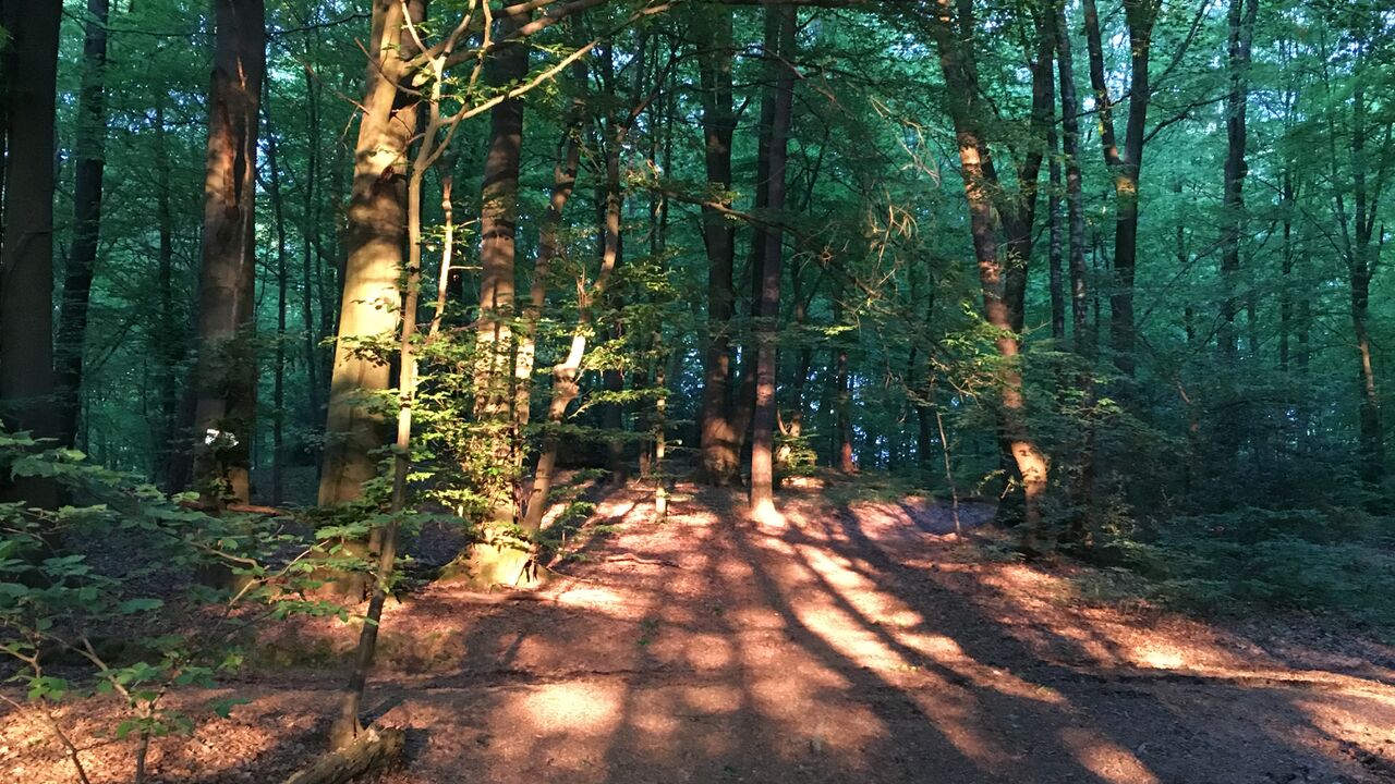 Handlungskompetenz stärken – nachhaltig Ziele erreichen – in Beruf und Alltag