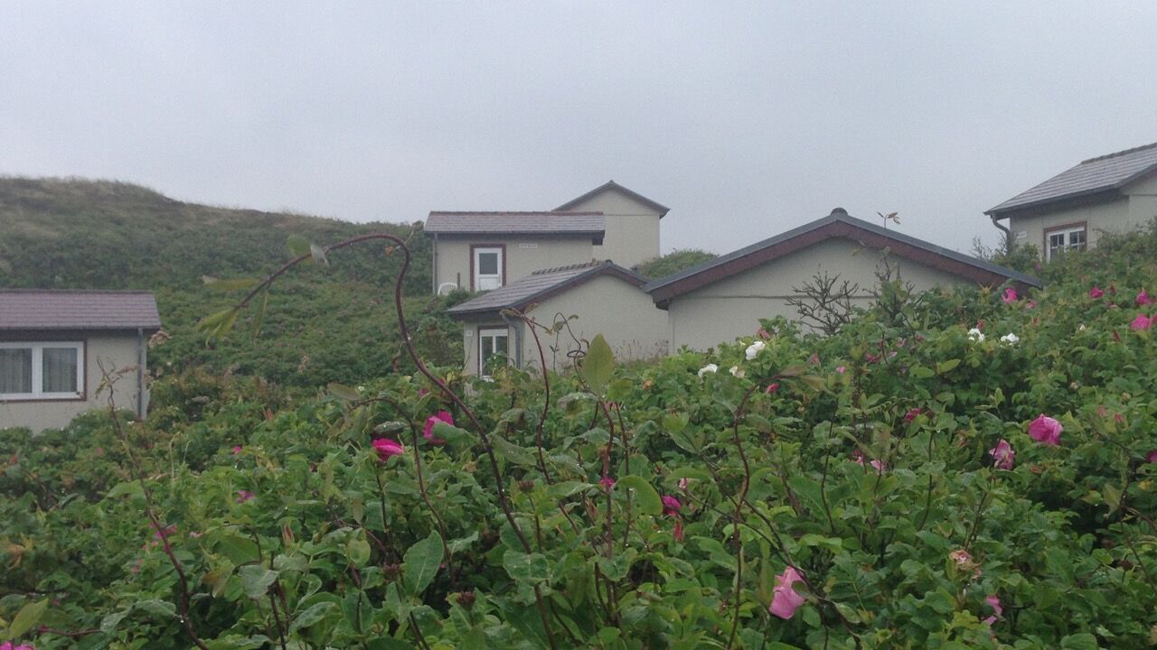 Für den Berufsalltag auftanken mit Entspannung, Yoga und Meditation