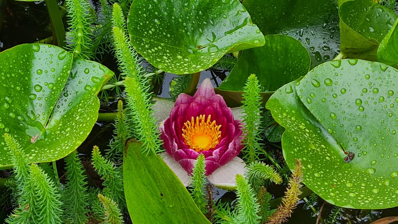 Burnout-Prävention im beruflichen Alltag durch erfolgreiches Selbstmanagement