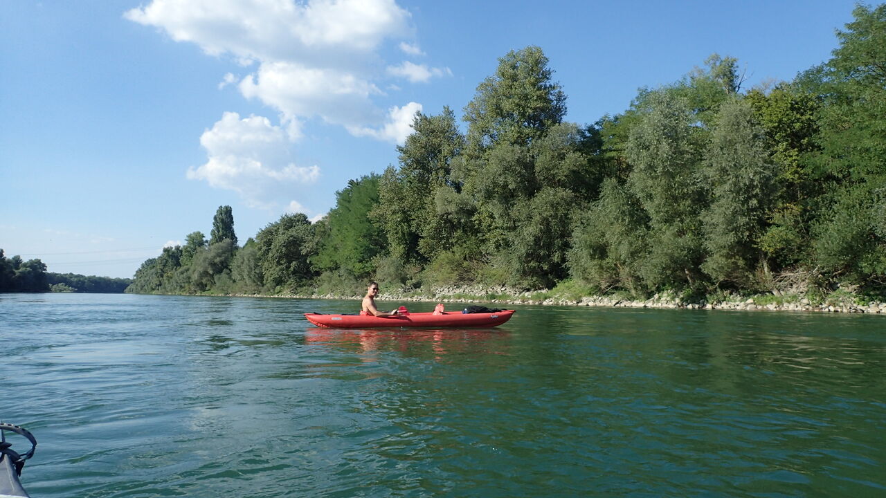 Naturkundliche Kanutour – der Rhein und seine Urwald-Auen am Kaiserstuhl