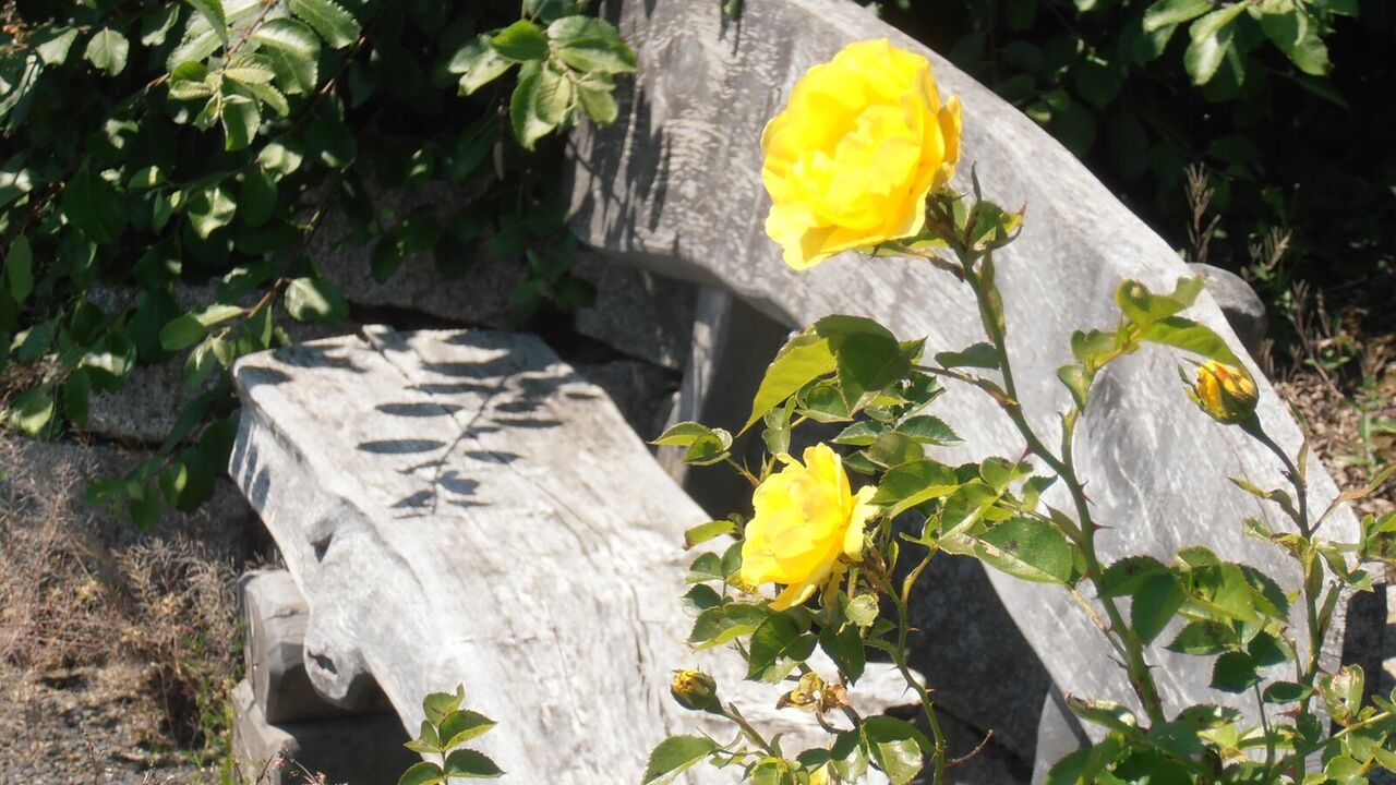 Stressbewältigung nach Jon Kabat-Zinn