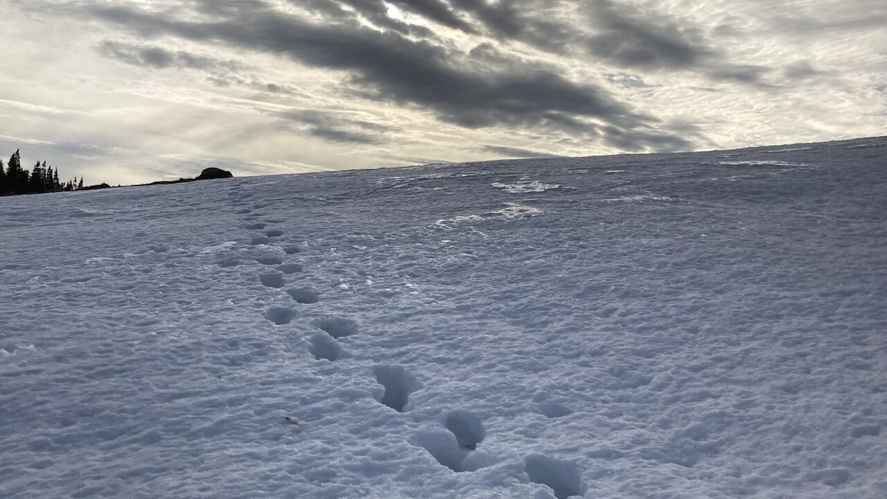 Vom Konflikt zur Verständigung und Kooperation – Intensiv-Einführung in die Gewaltfreie Kommunikation nach Marshall Rosenberg