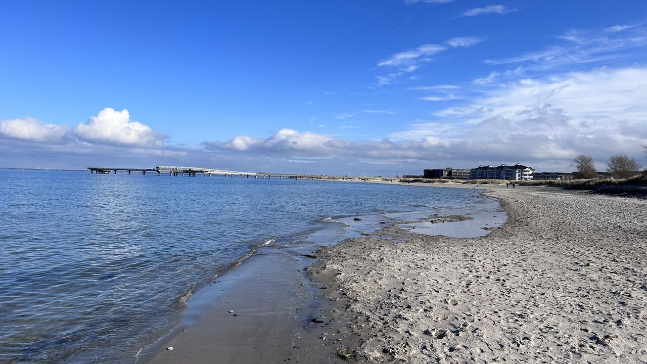 Work-Life-Balance durch Yoga, Pilates und Entspannungstechniken, Bildungsurlaub mit Hund