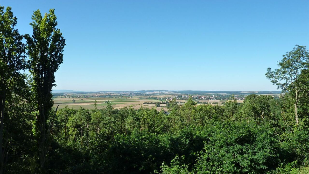 Gesundheit von innen heraus – tanken Sie positive Energie mit Yoga, Meditation, Atemtechniken und Körperarbeit