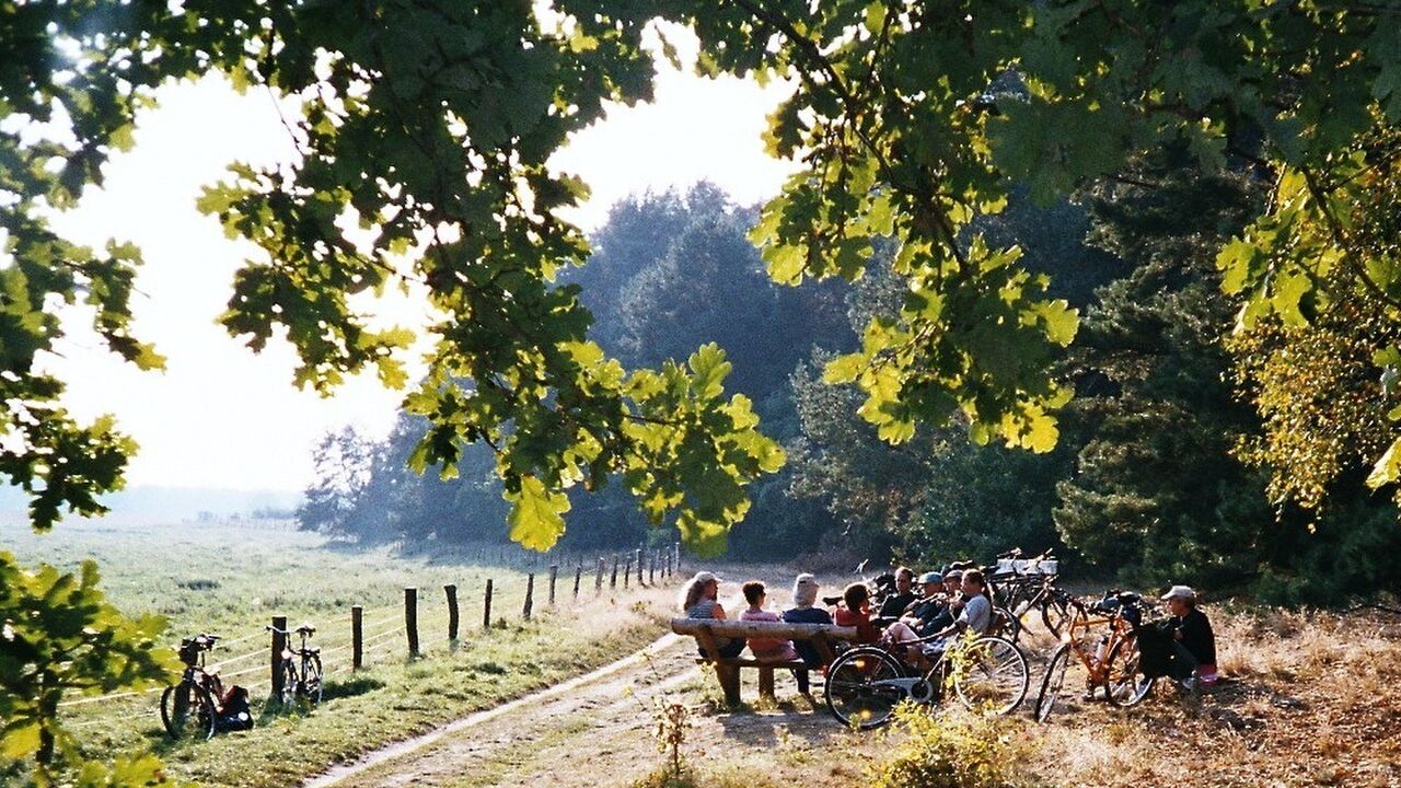 Müritz Nationalpark - Chance für eine wertvolle Naturlandschaft?