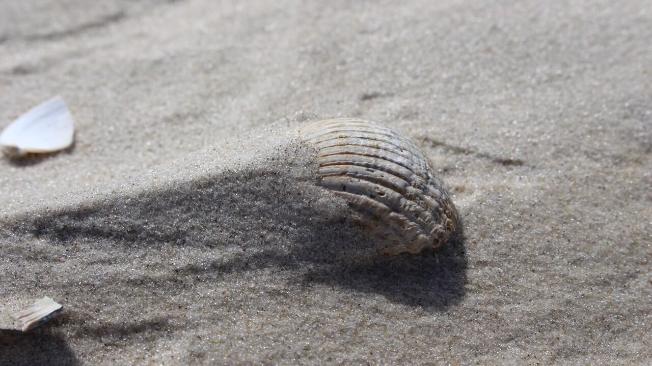 Die Franklin-Methode® im Beruf