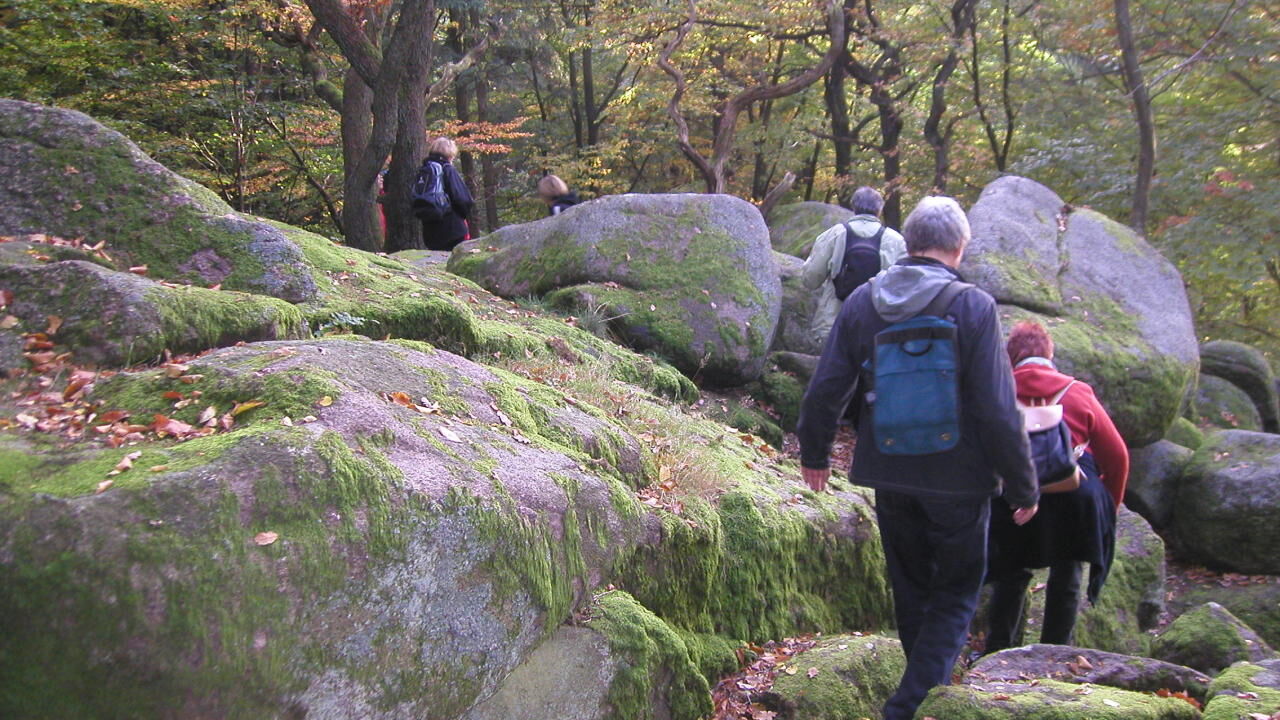 Innere Orientierung und äußere Präsenz