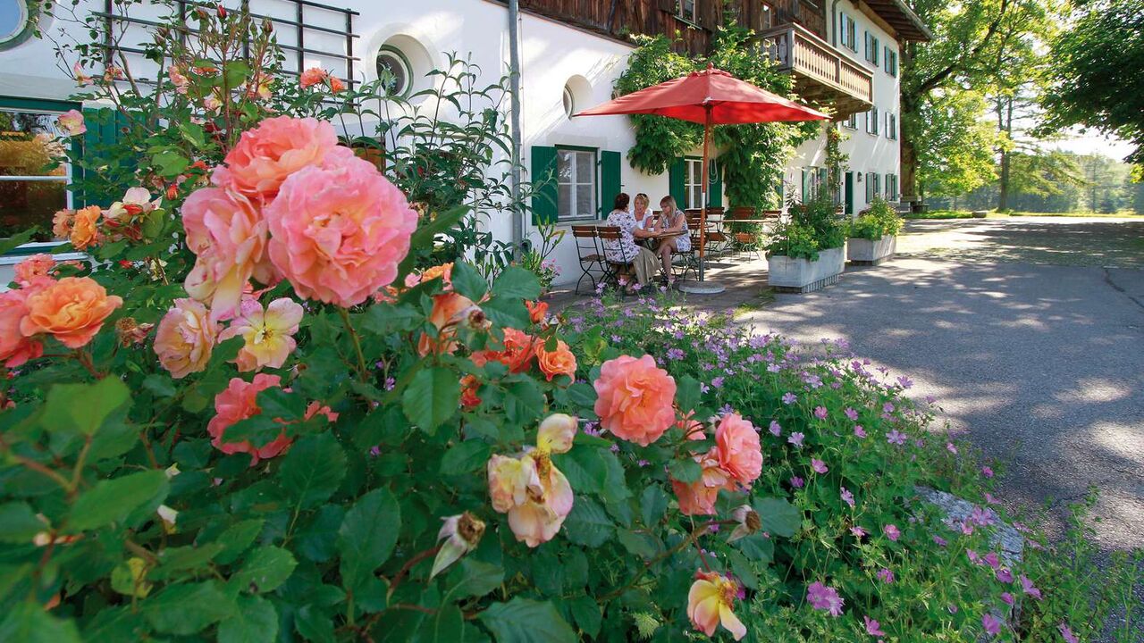 Stressbewältigung nach Jon Kabat-Zinn – Vertiefung