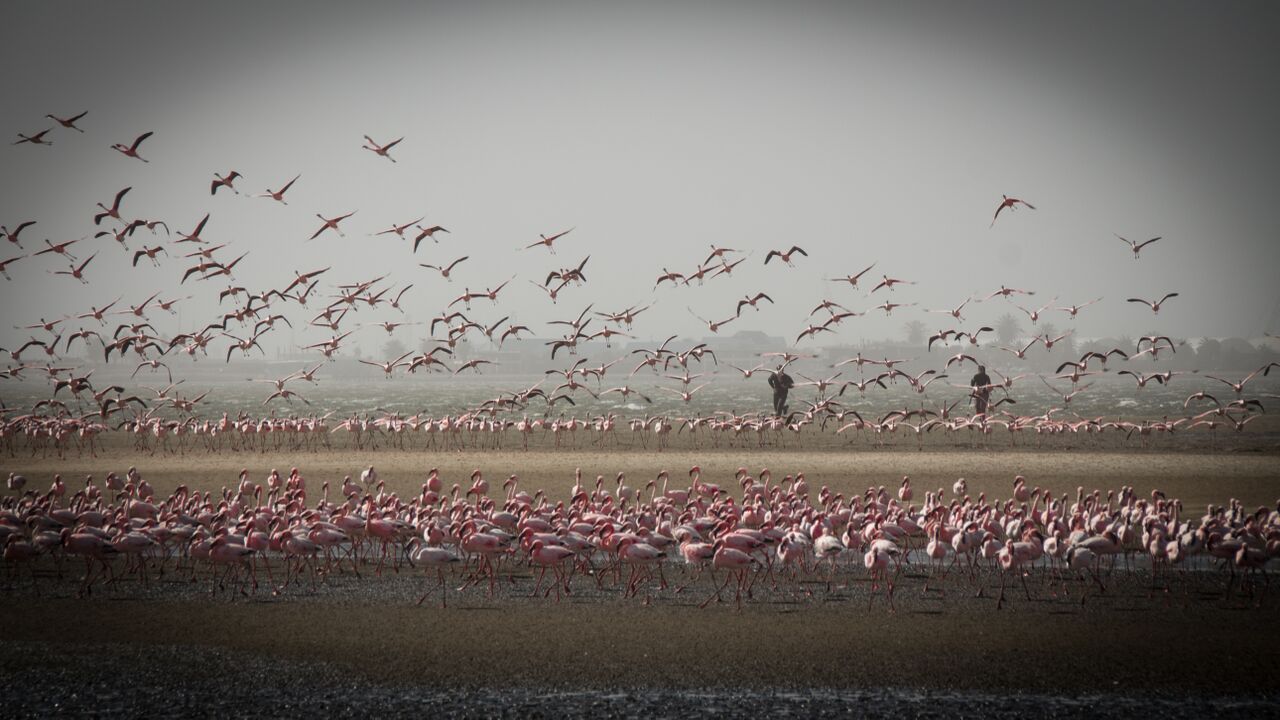 Namibia – Kolonialgeschichte, Freiheitskampf und Zukunftsperspektiven