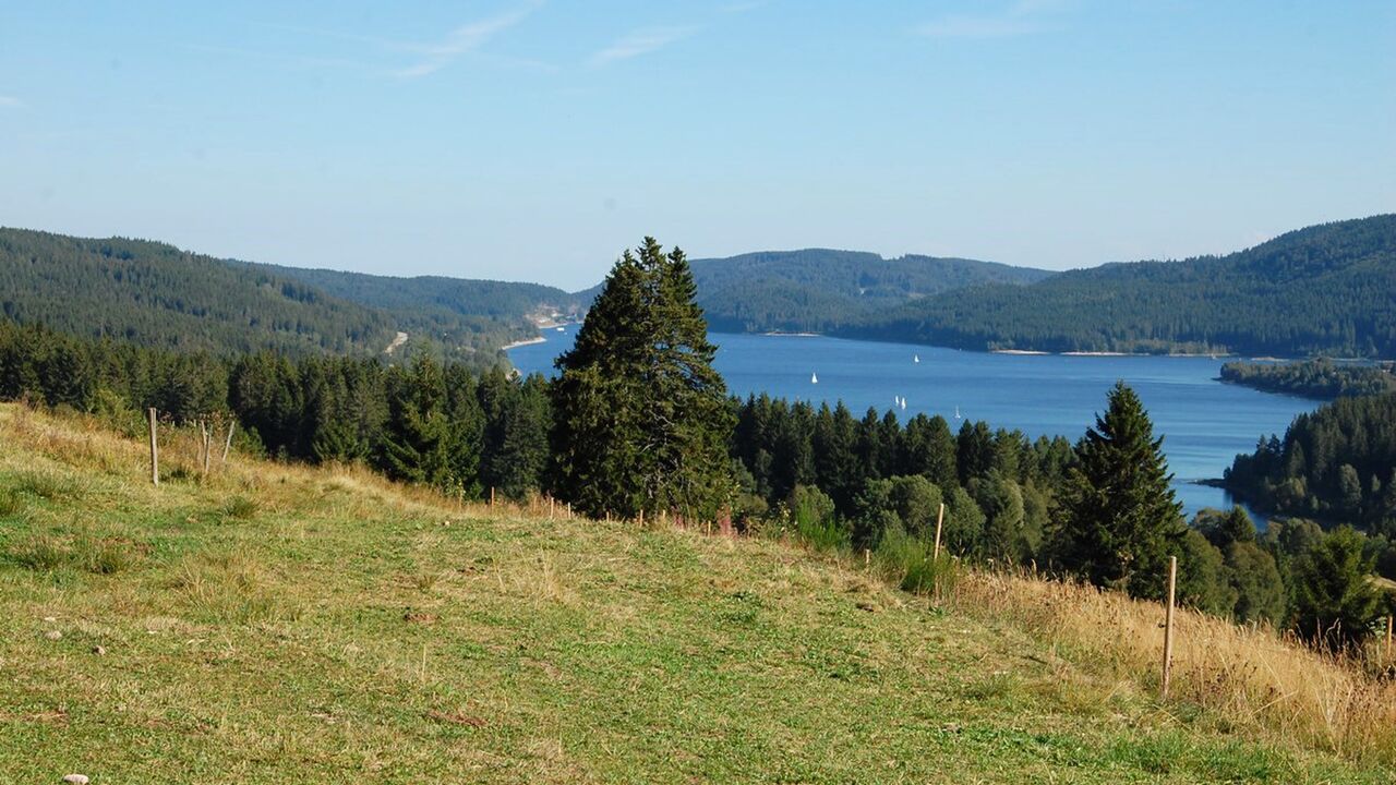 Naturpark Südschwarzwald - 