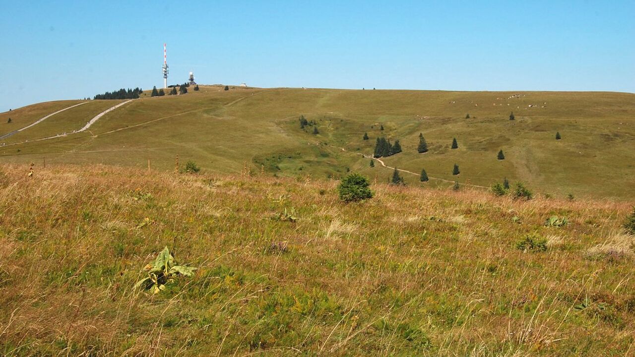 Naturpark Südschwarzwald - 