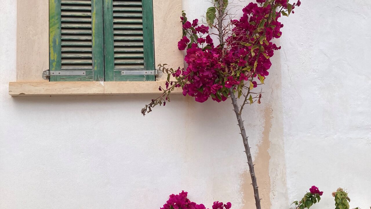 Gelassenheit, Kraft und Selbstvertrauen im Beruf durch Yoga und Meditation