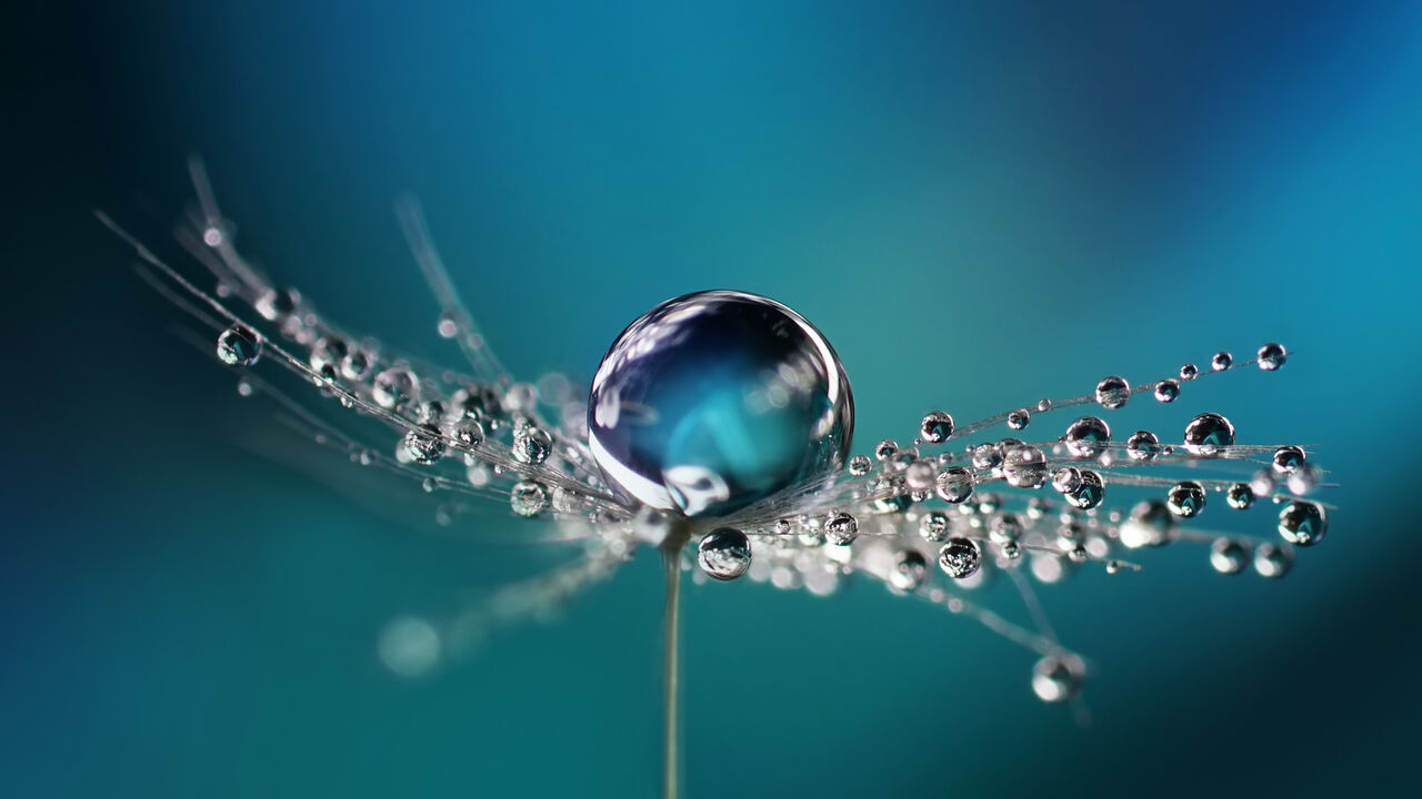 Wertschätzung – für sich selbst und andere