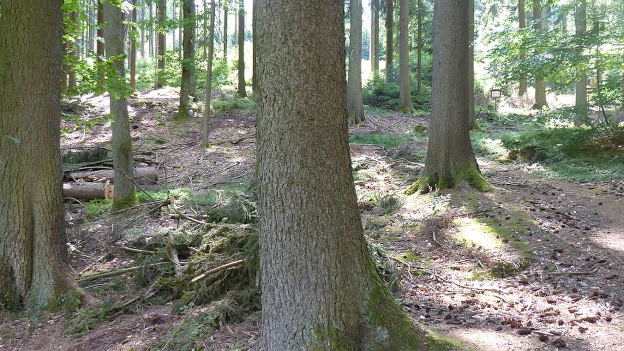 Gelassen und kraftvoll mit Zeitdruck und Stress umgehen