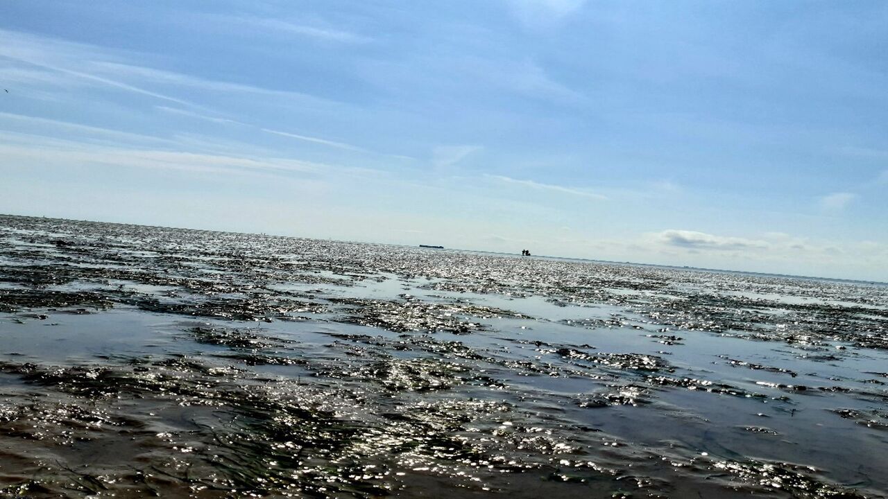 Nordfriesisches Wattenmeer – Naturschutz, Klimawandel und der Mensch in der Halligwelt