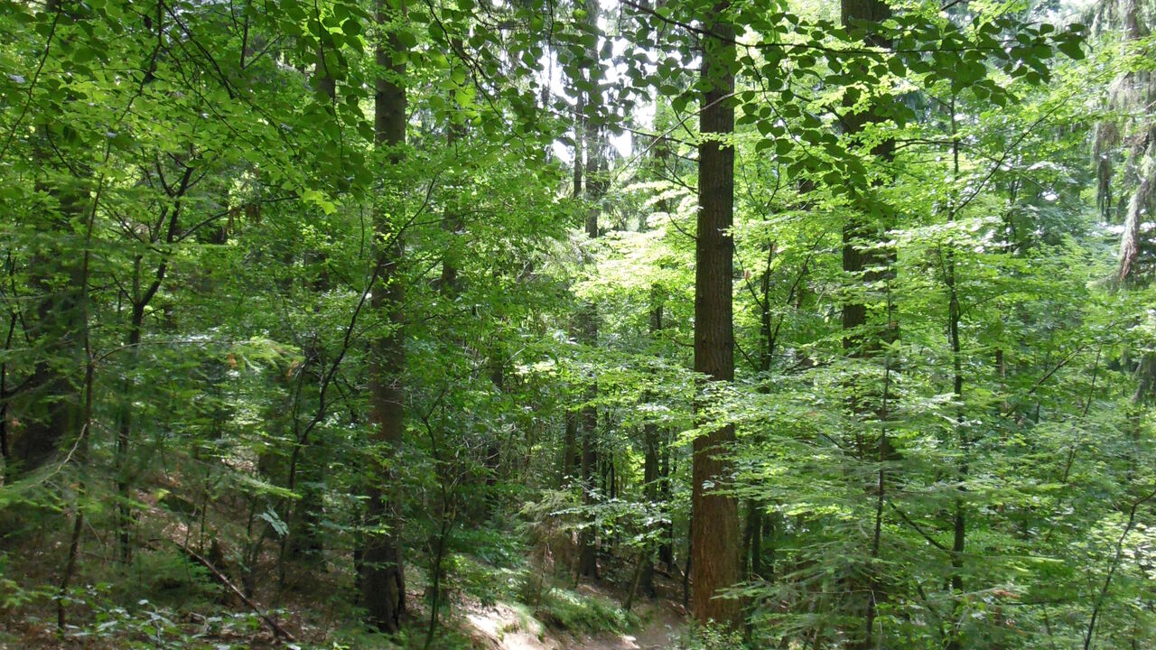 Ruhestand – Entdecke Deine Möglichkeiten