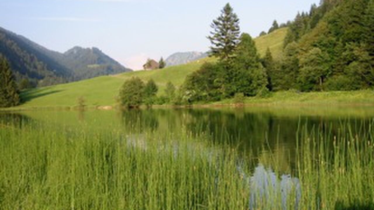 Modellregion Bregenzerwald – zukunftsfähiger Klima- und Naturschutz in Vorarlberg