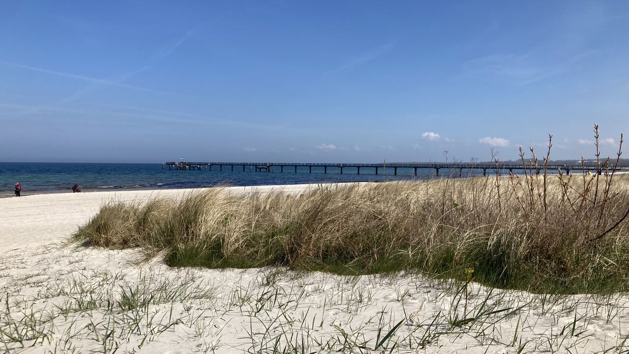Stressbewältigung mit japanischer Medizin