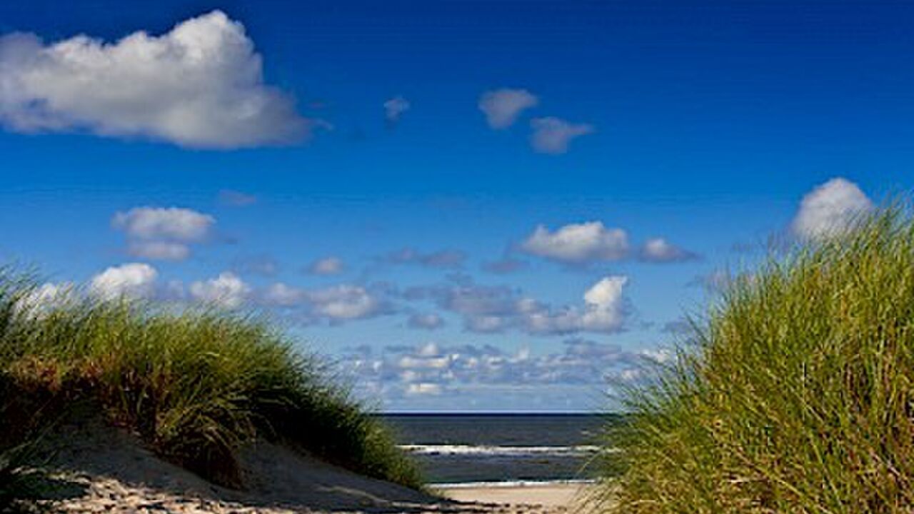 Stressbewältigung nach Jon Kabat-Zinn – Vertiefung