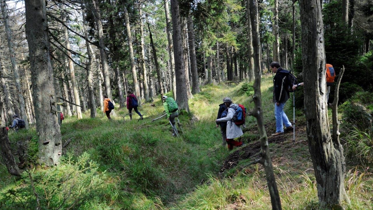 Nationalpark Harz - Schutz für die einzigartige Wald-Landschaft am Brocken