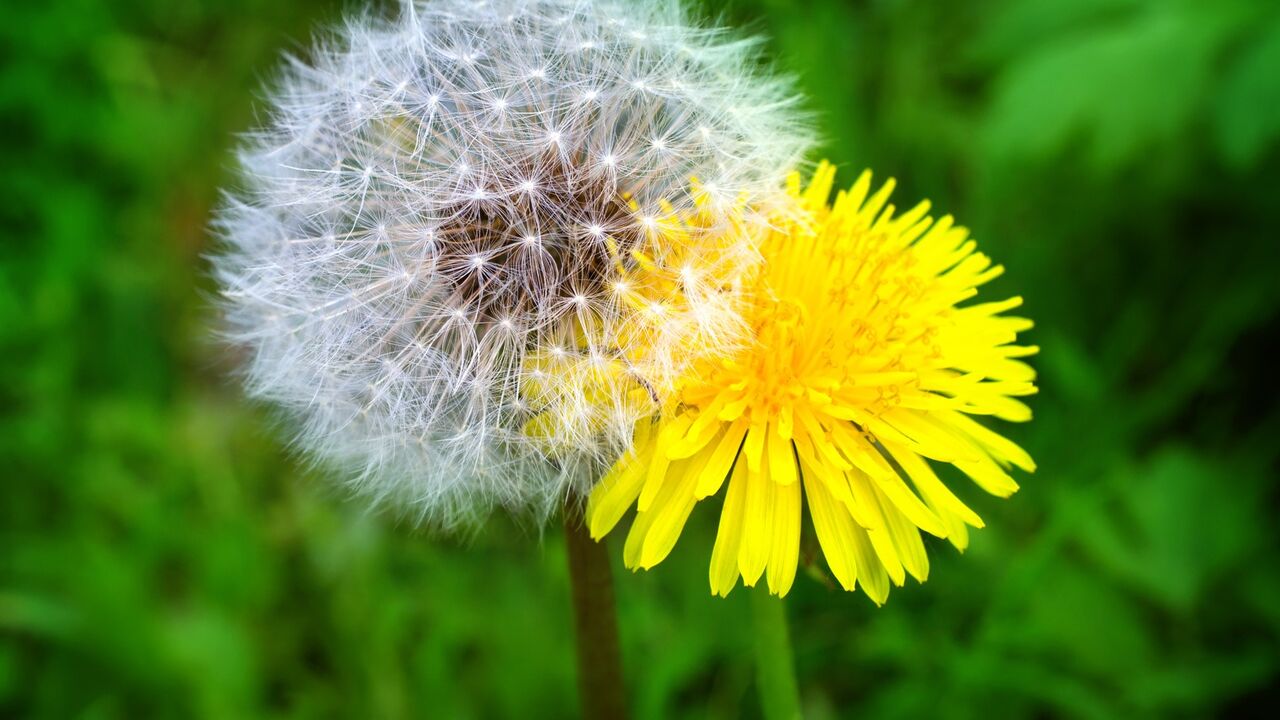 Wertschätzender und achtsamer Umgang mit sich selbst