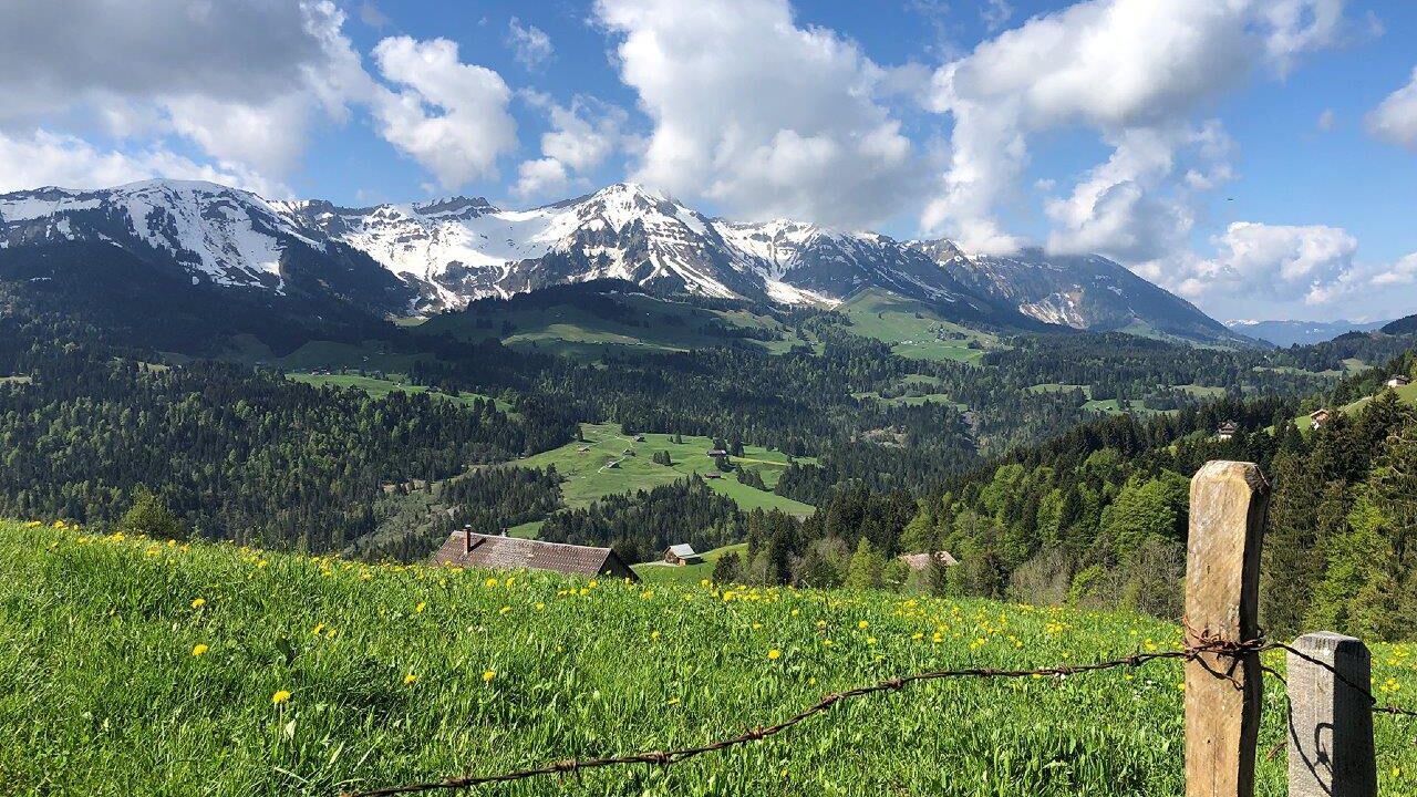 Modellregion Bregenzerwald – zukunftsfähiger Klima- und Naturschutz in Vorarlberg
