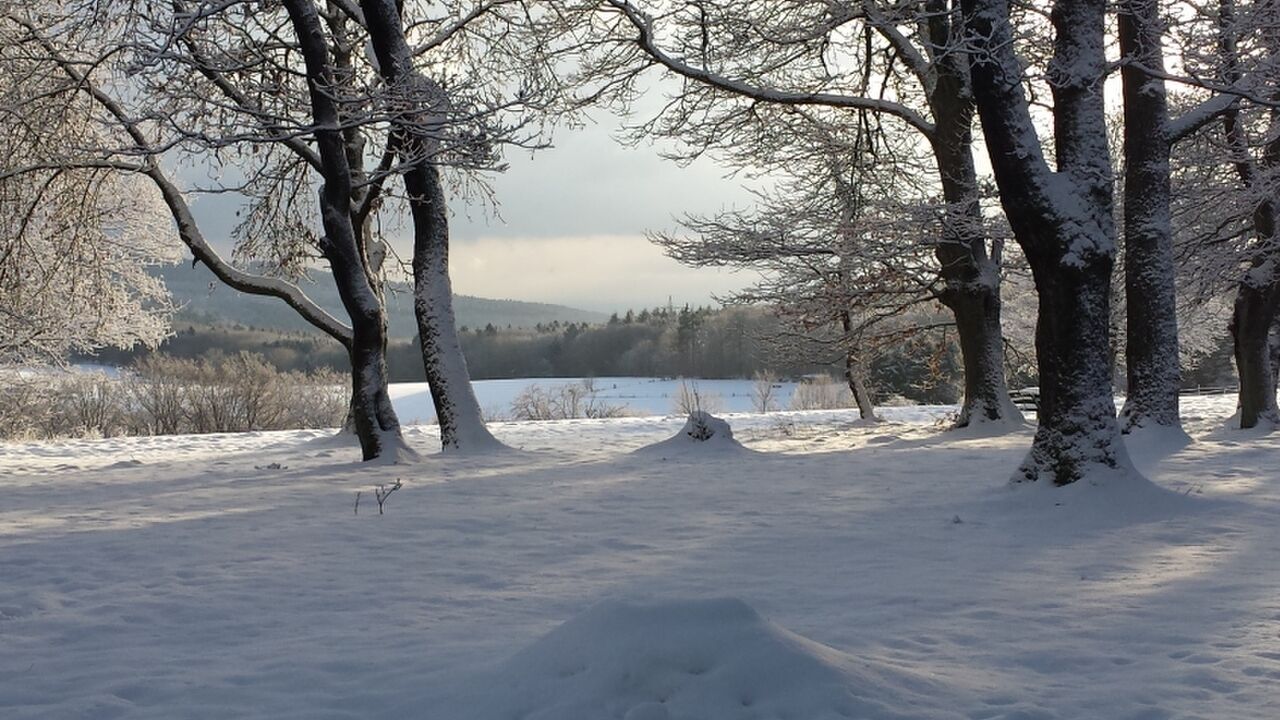 Mehr Kraft und Ausgeglichenheit mit Yoga, Meditation und den Chakren