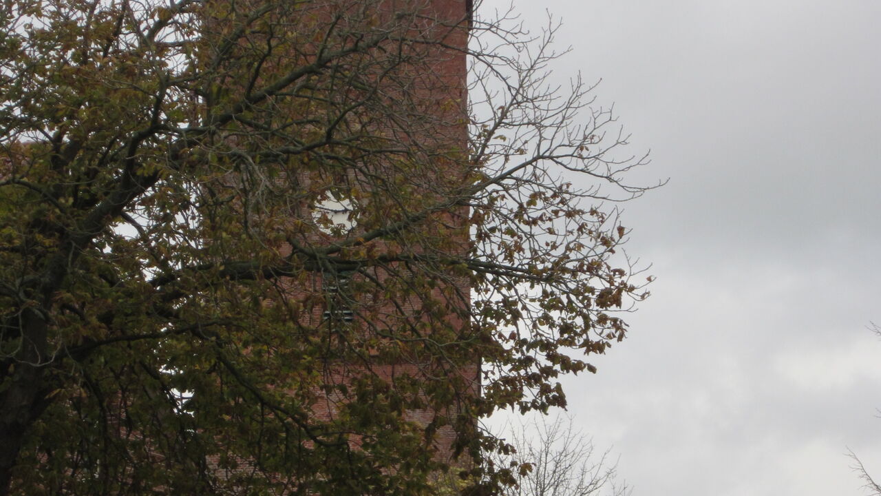 Die Franklin-Methode® im Beruf