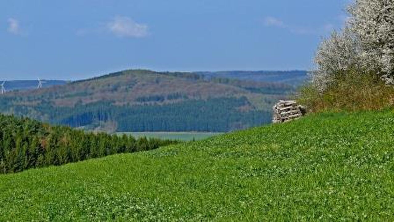 Die Vulkaneifel – Regionalentwicklung im Spannungsfeld zwischen Rohstoffabbau und Geotourismus