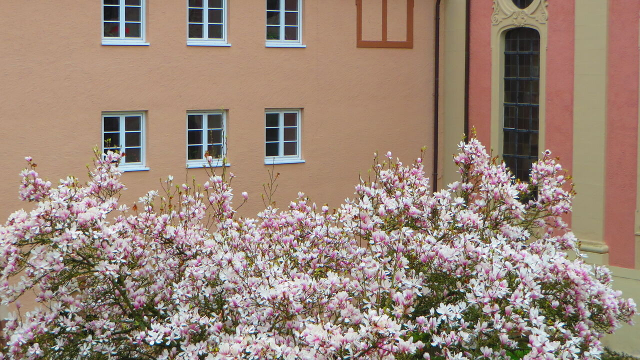 Rückengesundheit und Stressbewältigung mit Qigong