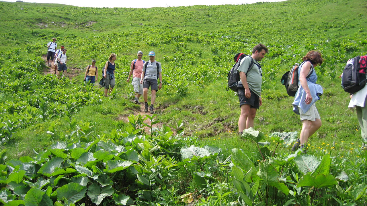 Nationalpark Berchtesgaden - wirksamer Schutz für eine wertvolle Hochgebirgslandschaft?