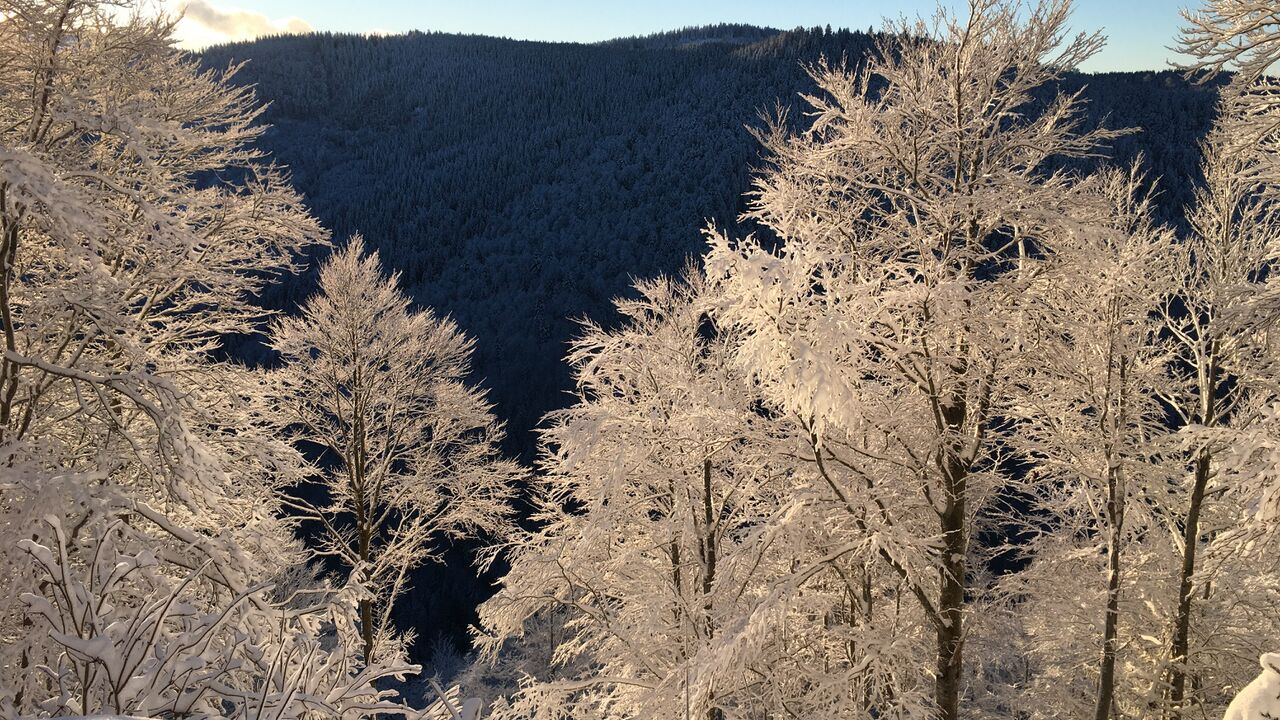 Vom Konflikt zur Verständigung und Kooperation – Intensiv-Einführung in die Gewaltfreie Kommunikation nach Marshall Rosenberg