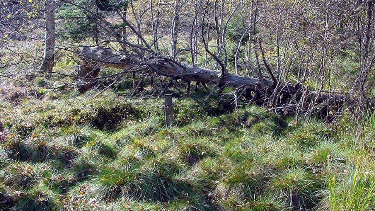 Biosphärenreservat Rhön - Modellprojekt für nachhaltige Regionalentwicklung
