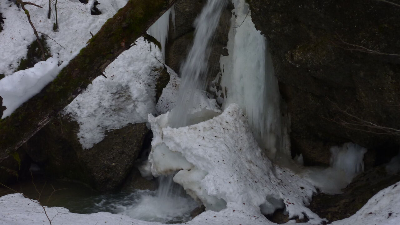 Modellregion Bregenzerwald – zukunftsfähiger Klima- und Naturschutz in Vorarlberg