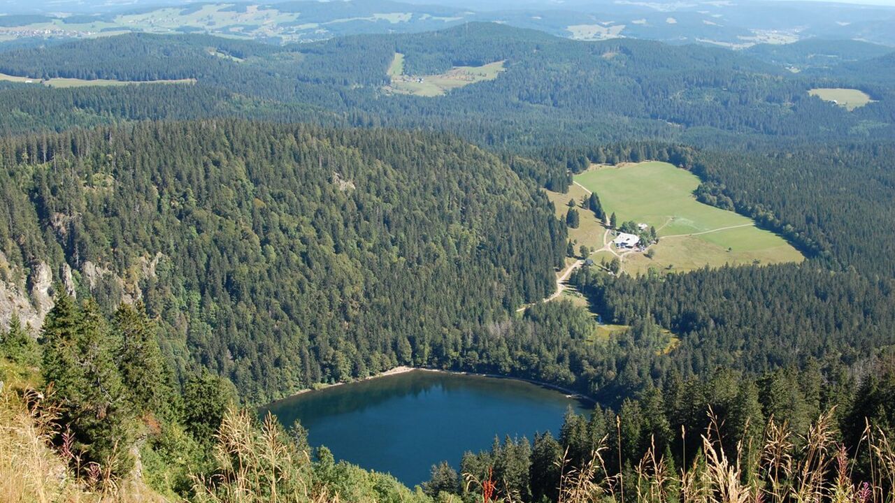 Naturpark Südschwarzwald - 