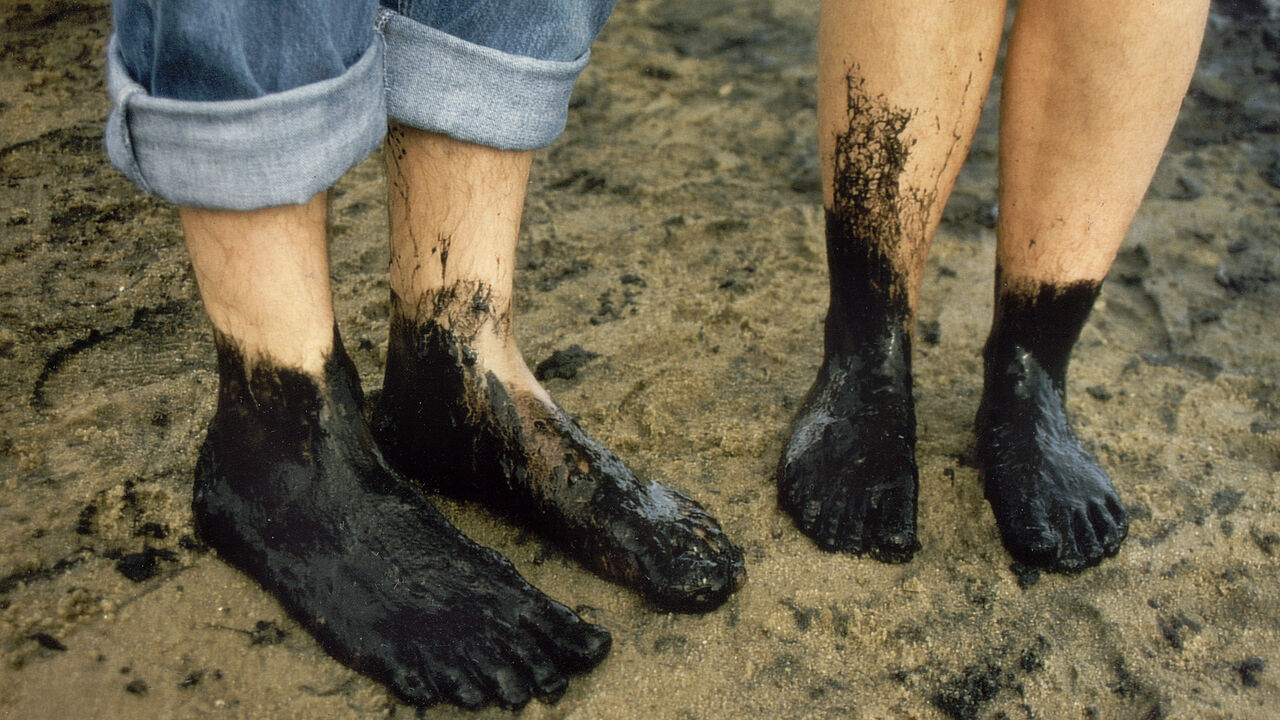 Sylt - eine Insel inmitten des Nationalparks!