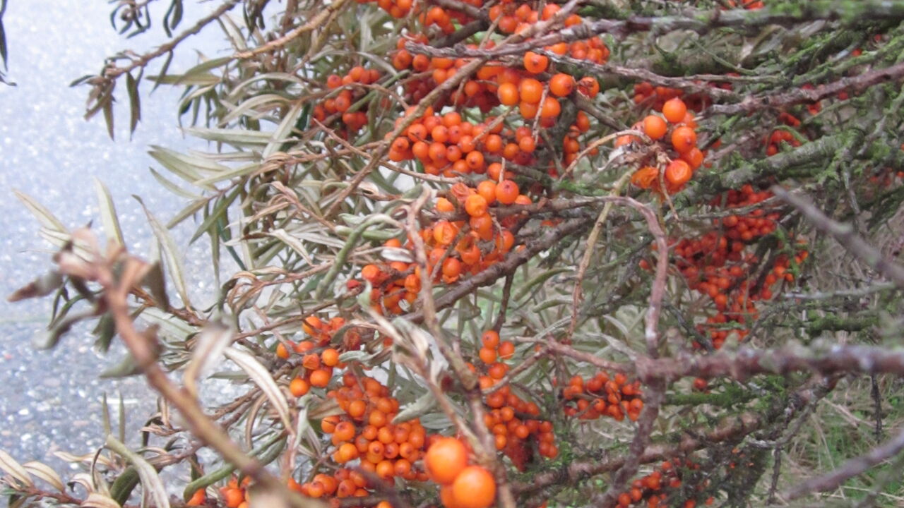 Aus dem Vollen schöpfen