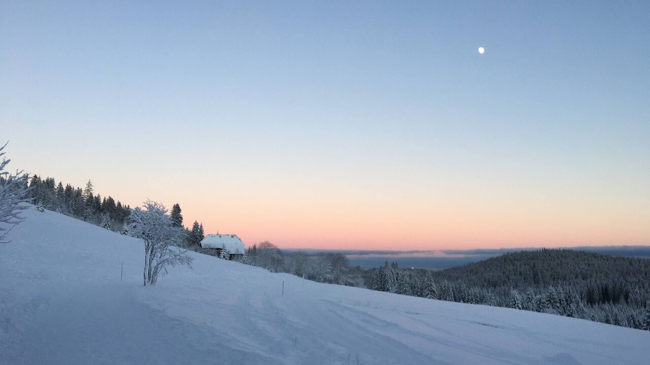 Vom Konflikt zur Verständigung und Kooperation – Intensiv-Einführung in die Gewaltfreie Kommunikation nach Marshall Rosenberg
