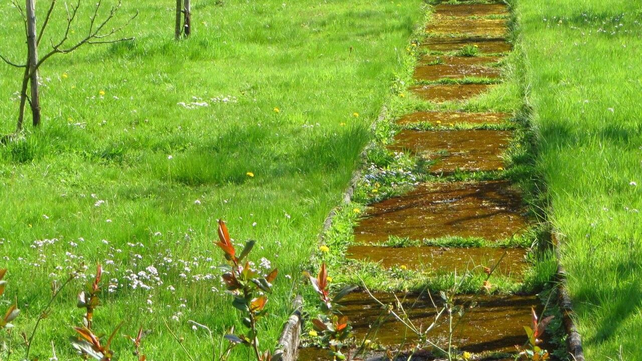 Fokussierte Selbstführung – Mit Klarheit und Mut durch berufliche Herausforderungen