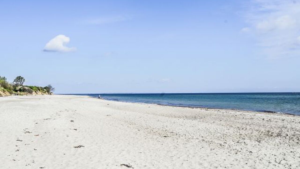 Work-Life-Balance durch Yoga, Pilates und Entspannungstechniken, Bildungsurlaub mit Hund