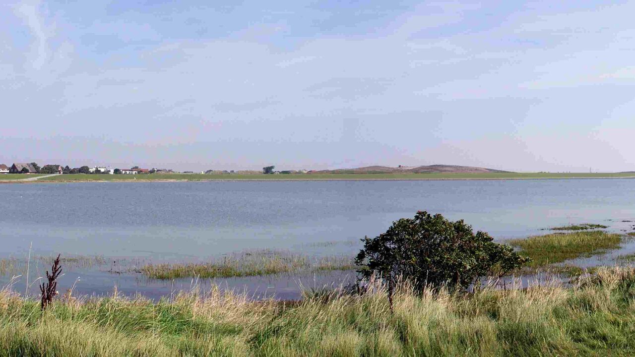 Rückengesundheit und Stressbewältigung mit Qigong