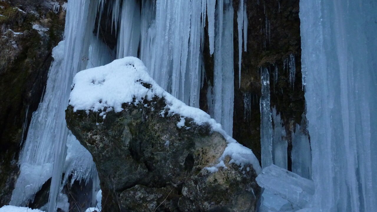 Modellregion Bregenzerwald – zukunftsfähiger Klima- und Naturschutz in Vorarlberg